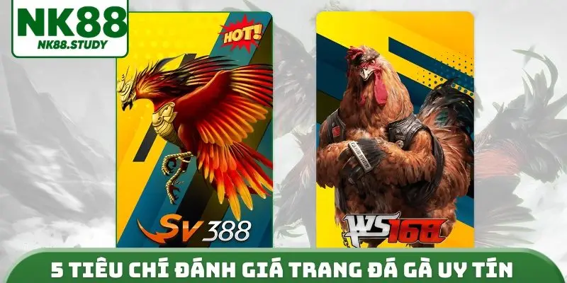 5 tiêu chí đánh giá trang đá gà uy tín