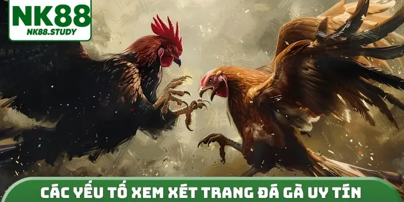 Các yếu tố xem xét trang đá gà uy tín