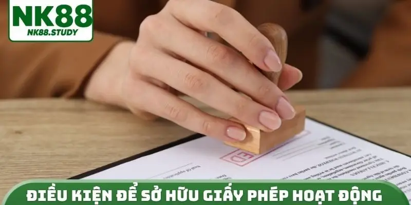 Điều kiện để sở hữu giấy phép hoạt động chính thức