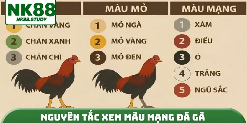 Nguyên tắc xem màu mạng đá gà