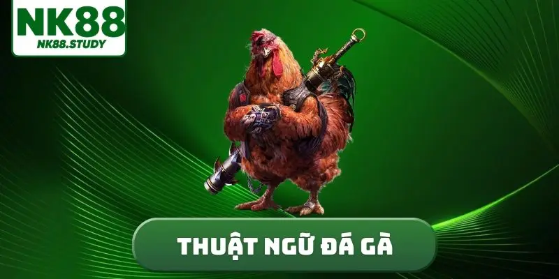 thuật ngữ đá gà